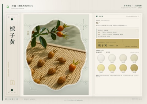 栀子黄植物染色色卡