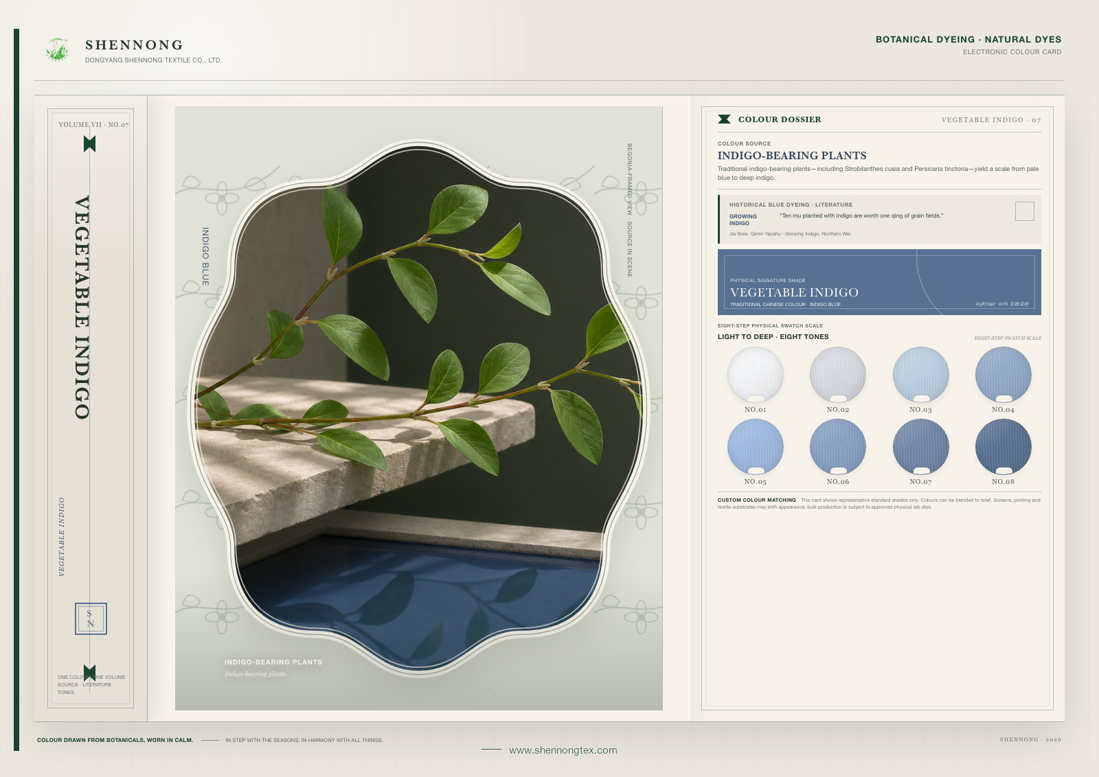 Vegetable Indigo plant-dye colour card